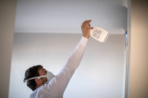 Best Fast Mold Removal  in Grover, WY
