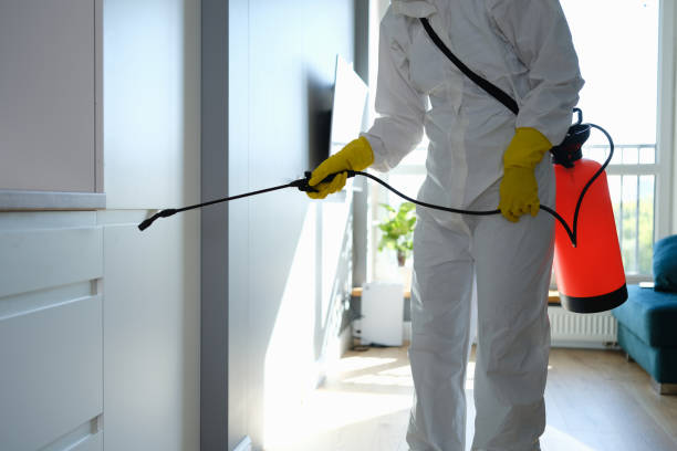 Attic Mold Removal in Grover, WY