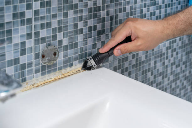 Best Certified Mold Removal  in Grover, WY
