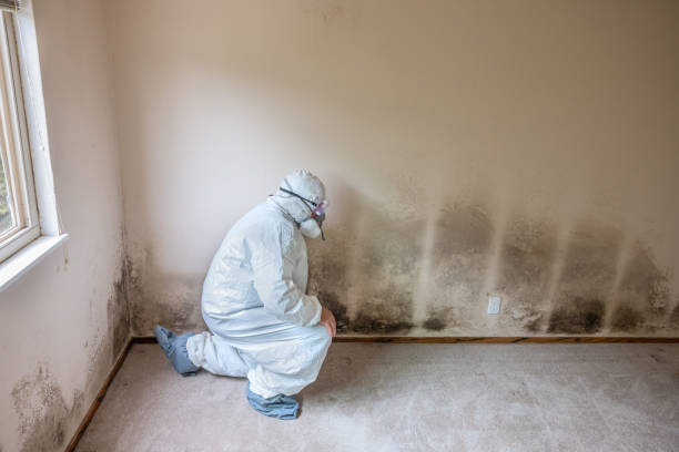 Best Crawl Space Mold Removal  in Grover, WY